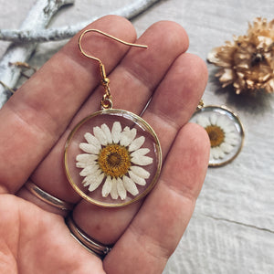 Pressed Daisy Flower Earrings